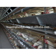 Economic automatic flat for chicken houses